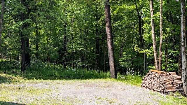 6234 Reservoir Rd, Lebanon, NY 13346 - view of woods