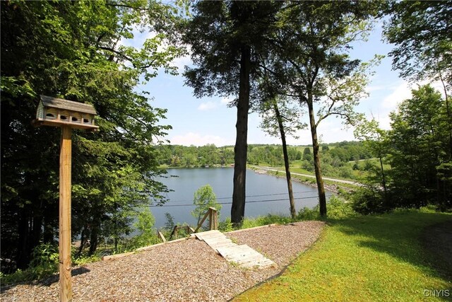 6234 Reservoir Rd, Lebanon, NY 13346 - water view