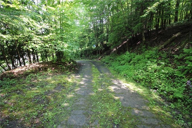 6234 Reservoir Rd, Lebanon, NY 13346 - view of road featuring a wooded view