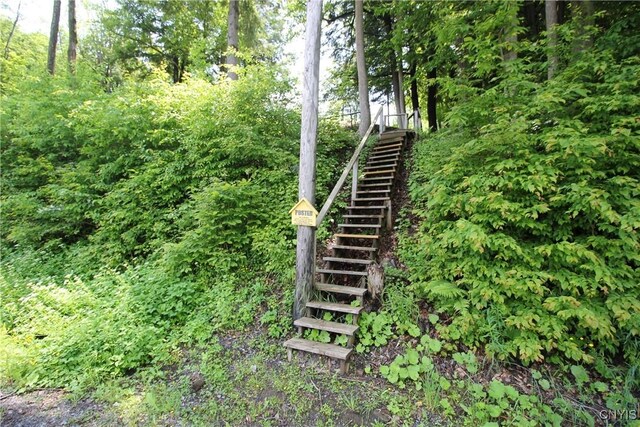 6234 Reservoir Rd, Lebanon, NY 13346 - exterior view of stairway