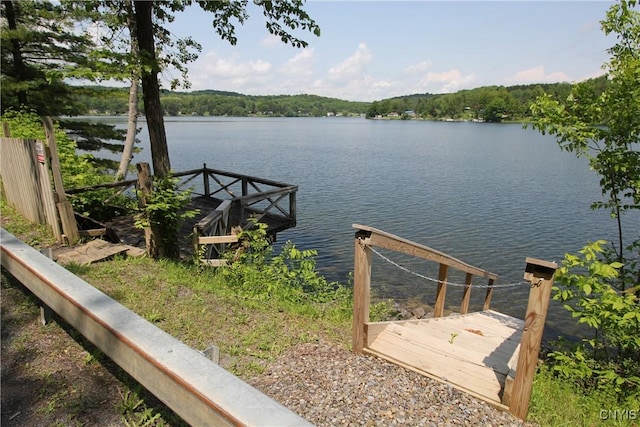 6234 Reservoir Rd, Lebanon, NY 13346 - water view featuring a forest and a boat dock