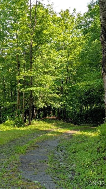 6234 Reservoir Rd, Lebanon, NY 13346 - view of tree filled area