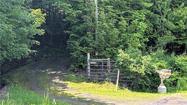 6234 Reservoir Rd, Lebanon, NY 13346 - view of dirt / gravel driveway featuring a forest view