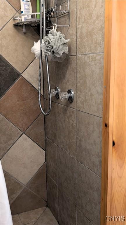 6234 Reservoir Rd, Lebanon, NY 13346 - bathroom view of a tile shower