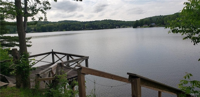 6234 Reservoir Rd, Lebanon, NY 13346 - water view featuring a heavily wooded area