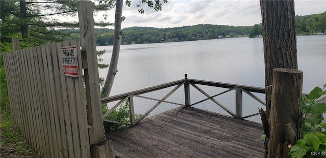 6234 Reservoir Rd, Lebanon, NY 13346 - dock with a water view and a view of trees
