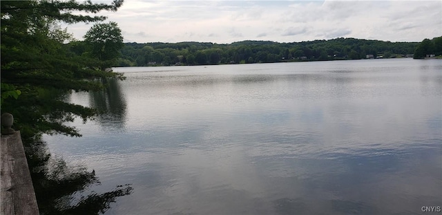 6234 Reservoir Rd, Lebanon, NY 13346 - water view featuring a heavily wooded area