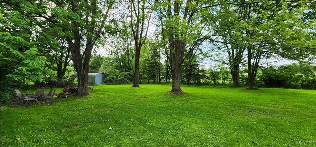 7029 Akron Rd, Lockport Town, NY 14094 - view of green lawn with a storage shed