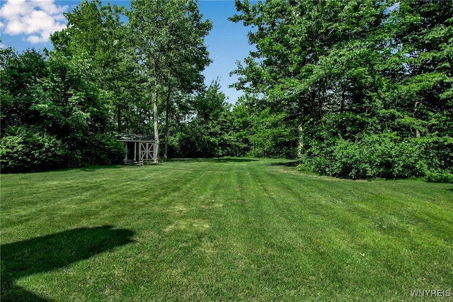17 Quail, Orchard Park, NY 14127 - view of green lawn featuring a storage unit
