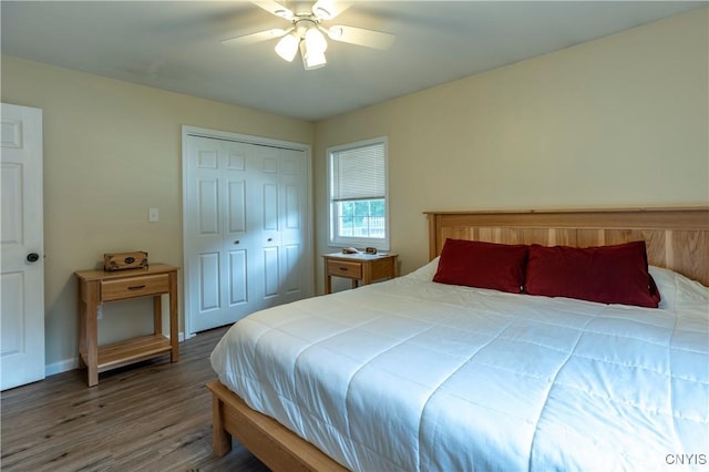 217 Sloperville Rd, Albion, NY 13302 - bedroom featuring wood finished floors, a closet, and ceiling fan
