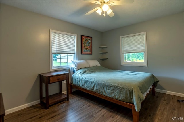 217 Sloperville Rd, Albion, NY 13302 - bedroom featuring multiple windows, wood finished floors, and a ceiling fan