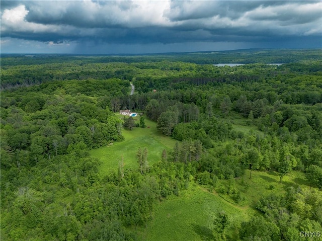 217 Sloperville Rd, Albion, NY 13302 - drone / aerial view of a forest
