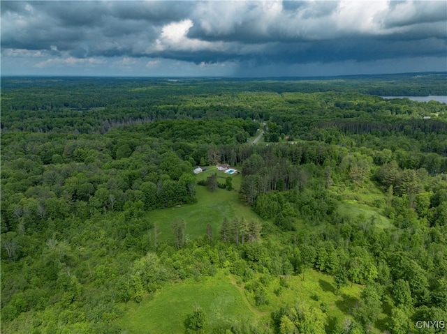 217 Sloperville Rd, Albion, NY 13302 - drone / aerial view of a heavily wooded area