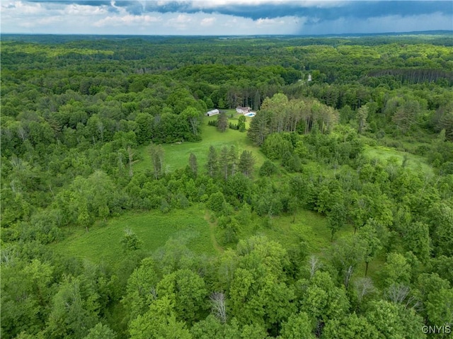217 Sloperville Rd, Albion, NY 13302 - aerial view of a heavily wooded area