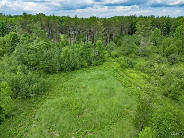 217 Sloperville Rd, Albion, NY 13302 - aerial view of a forest