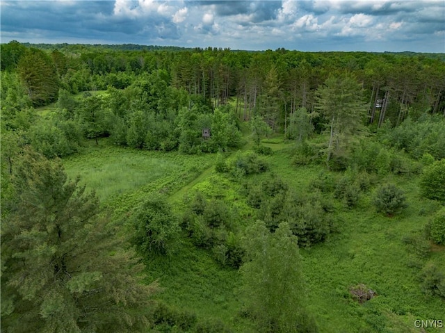 217 Sloperville Rd, Albion, NY 13302 - aerial view of a heavily wooded area