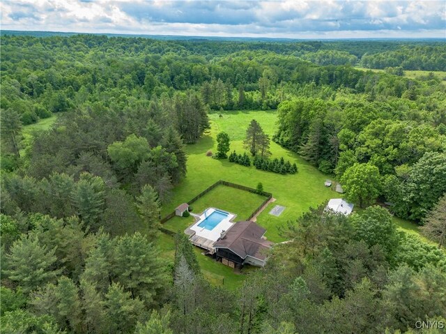 217 Sloperville Rd, Albion, NY 13302 - bird's eye view of a heavily wooded area