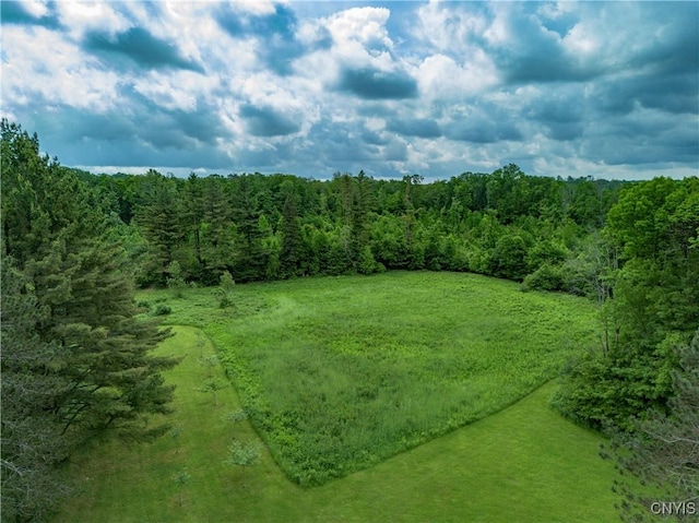 217 Sloperville Rd, Albion, NY 13302 - bird's eye view of a heavily wooded area