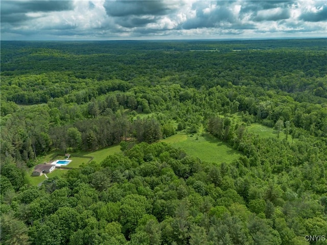 217 Sloperville Rd, Albion, NY 13302 - aerial view of a forest