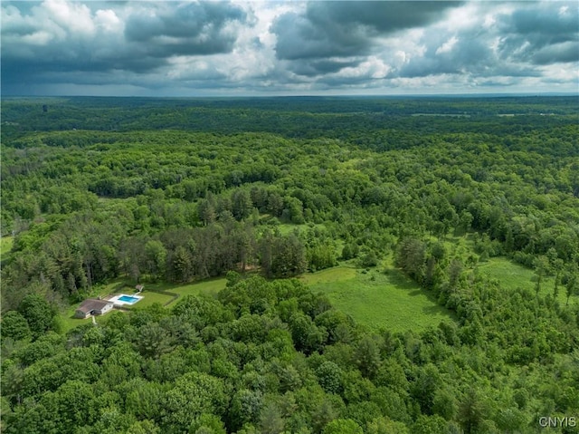 217 Sloperville Rd, Albion, NY 13302 - aerial view of a heavily wooded area
