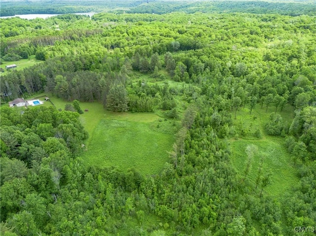 217 Sloperville Rd, Albion, NY 13302 - drone / aerial view of a forest