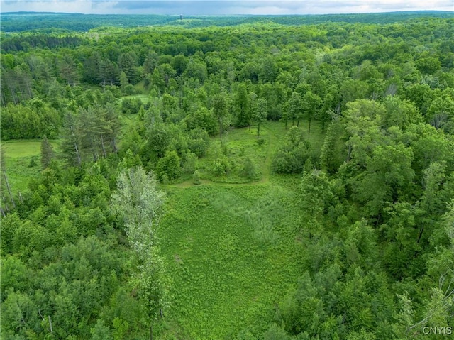 217 Sloperville Rd, Albion, NY 13302 - aerial view of a heavily wooded area