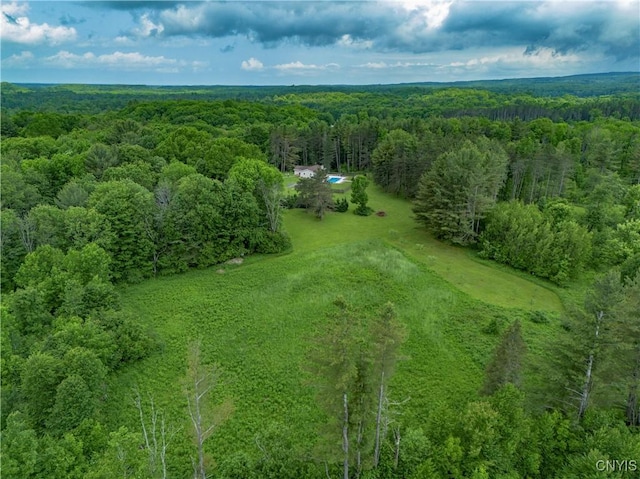 217 Sloperville Rd, Albion, NY 13302 - aerial view of a heavily wooded area