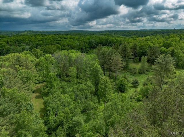 217 Sloperville Rd, Albion, NY 13302 - aerial view of a forest