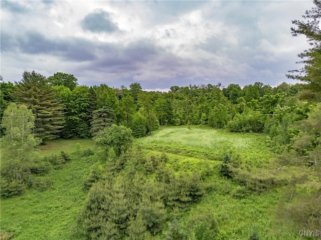 217 Sloperville Rd, Albion, NY 13302 - view of tree filled area