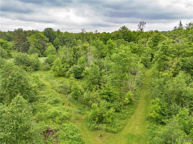 217 Sloperville Rd, Albion, NY 13302 - view of woods