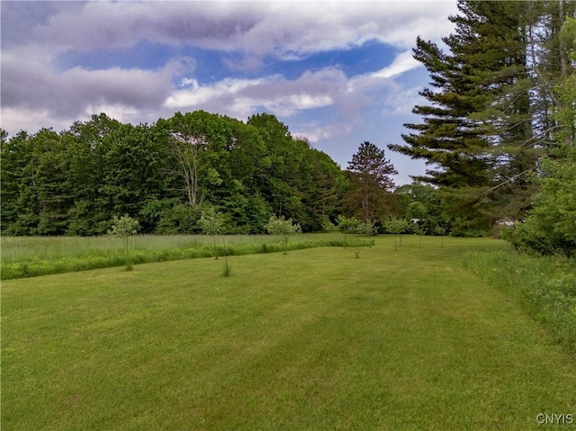 217 Sloperville Rd, Albion, NY 13302 - view of green lawn with a forest view