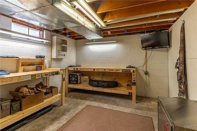 217 Sloperville Rd, Albion, NY 13302 - basement featuring a workshop area and concrete block wall