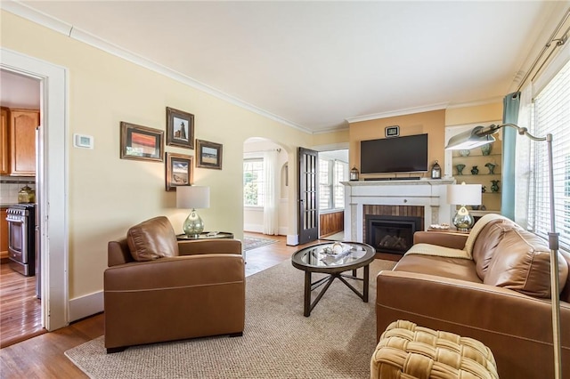 207 Wimbledon Rd, Irondequoit, NY 14617 - living room featuring arched walkways, ornamental molding, wood finished floors, and a fireplace