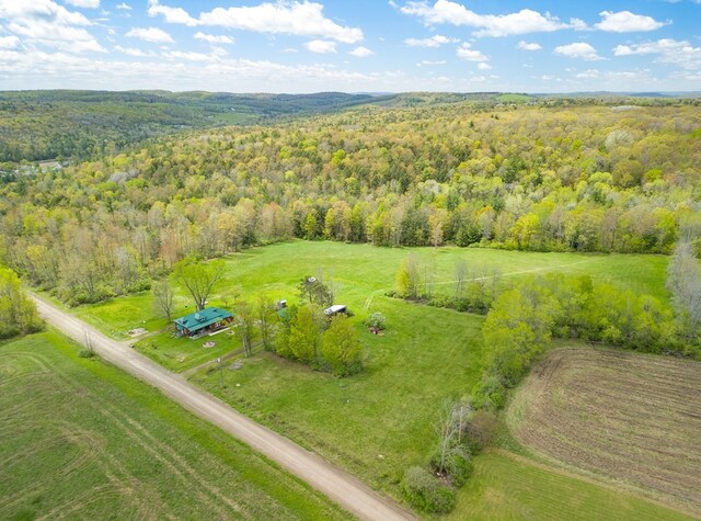 1503 Stewart Rd, Tuscarora, NY 14801 - photo 42