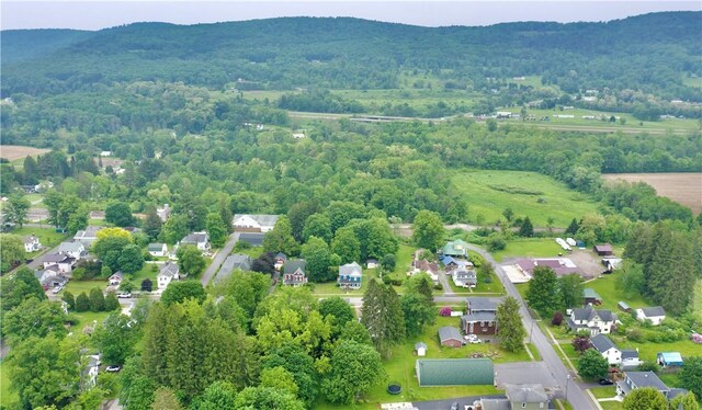 8 Follett St, Otego, NY 13825 - photo 3