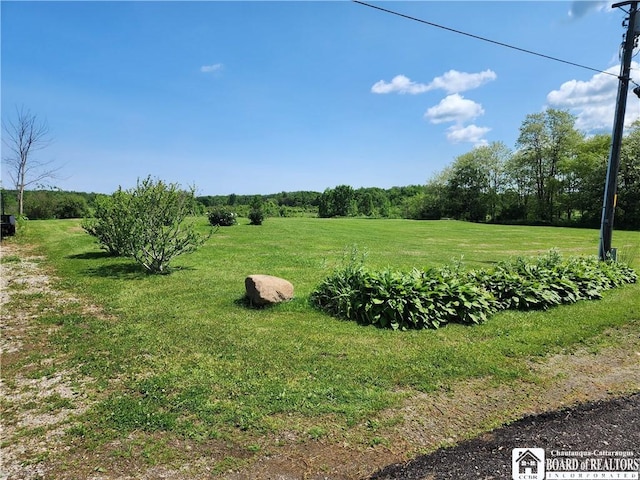 8584 Pigeon Rd, Westfield, NY 14787 - photo 1