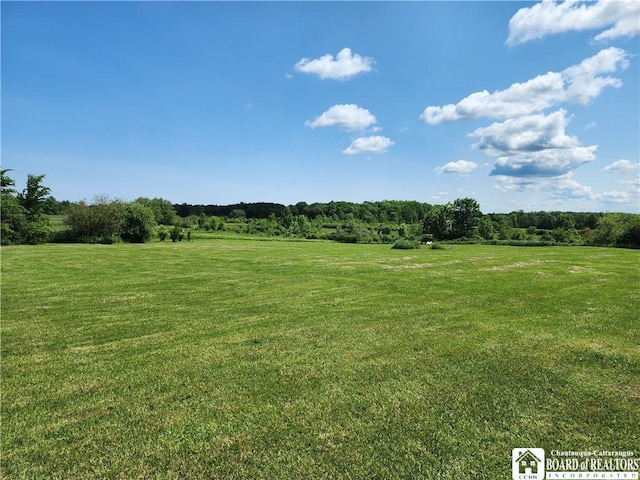 8584 Pigeon Rd, Westfield, NY 14787 - photo 2