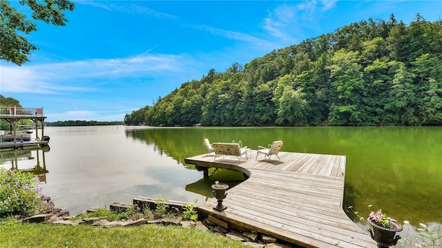 8567 Glen Rd, Rushford, NY 14777 - dock area featuring a water view and a wooded view