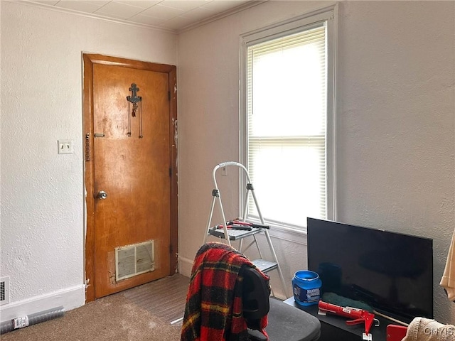 711 Stevens St, Utica, NY 13502 - recreation room with a textured wall, carpet, and crown molding