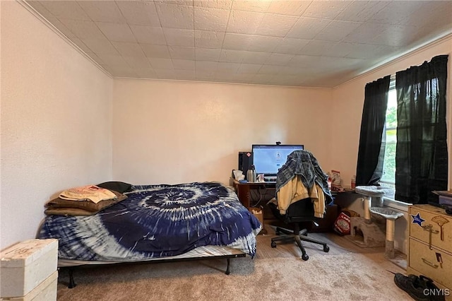 711 Stevens St, Utica, NY 13502 - bedroom featuring ornamental molding and carpet flooring