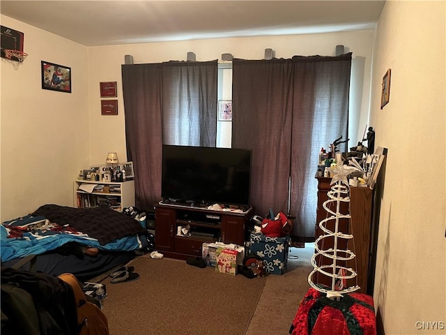 711 Stevens St, Utica, NY 13502 - bedroom with carpet floors