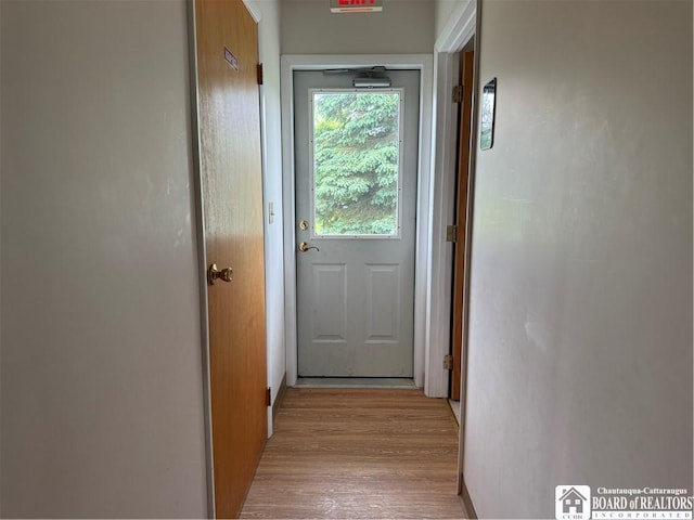540 W Creek Rd, Owego, NY 13827 - doorway to outside featuring light wood finished floors