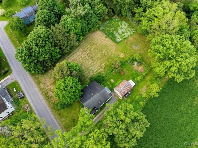 7468 Dugway Rd, Kirkland, NY 13323 - photo 12