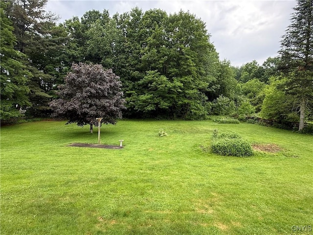 7819 State Route 13, Vienna, NY 13308 - photo 33