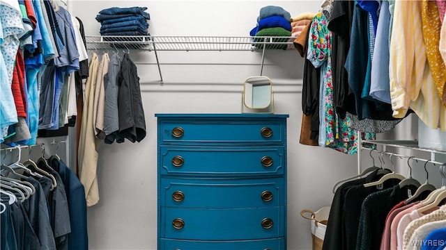 127 Boxelder Ln, Amherst, NY 14228 - view of spacious closet