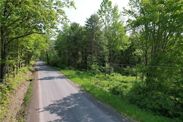 0 Cemetery Hill Rd, Oneonta, NY 13820 - photo 4