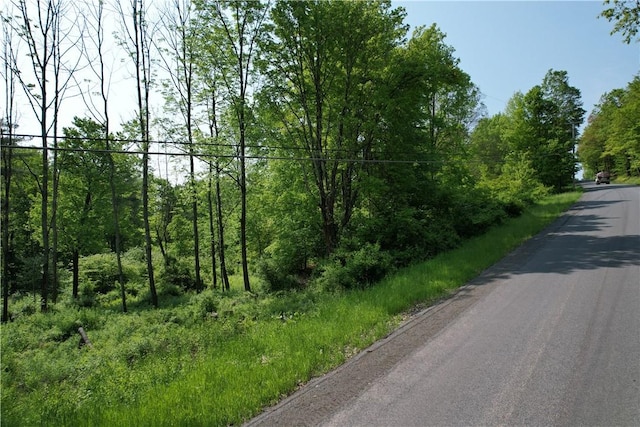 0 Cemetery Hill Rd, Oneonta, NY 13820 - photo 5
