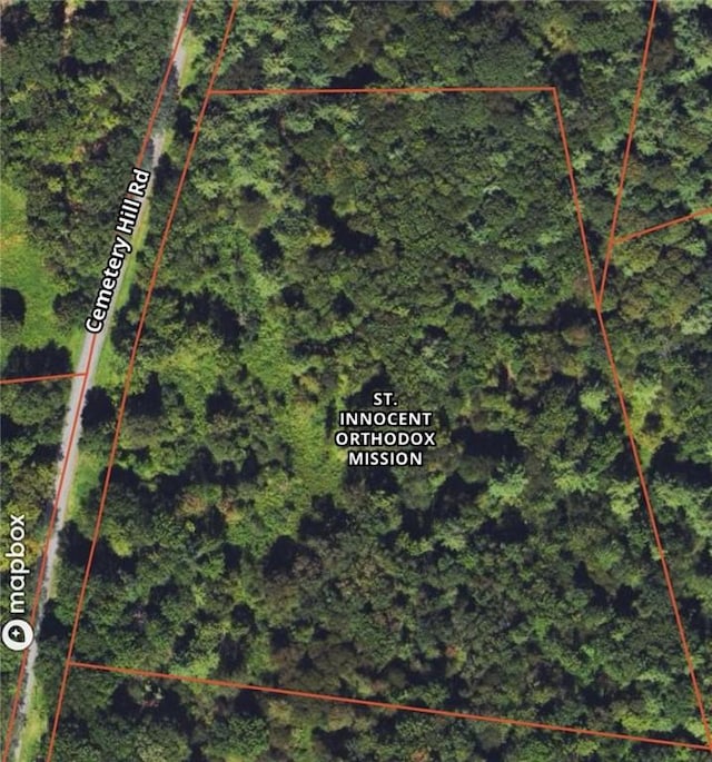 0 Cemetery Hill Rd, Oneonta, NY 13820 - photo 6