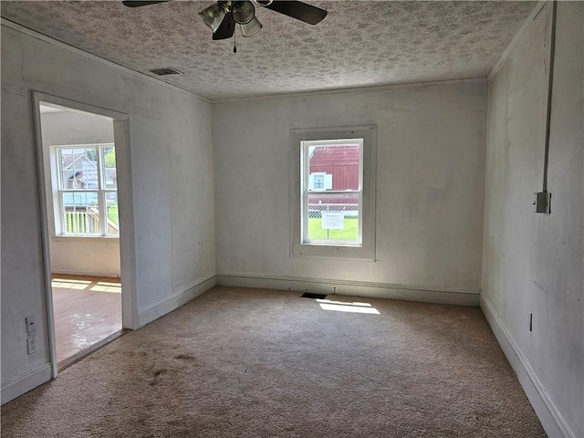 420 Schuyler Ave, Southport, NY 14904 - carpeted empty room with plenty of natural light, ceiling fan, and a textured ceiling