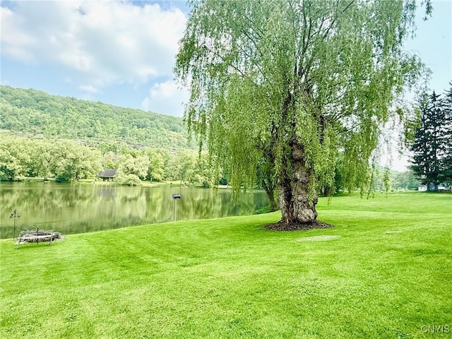 2 Staci Ln, Homer, NY 13077 - photo 34